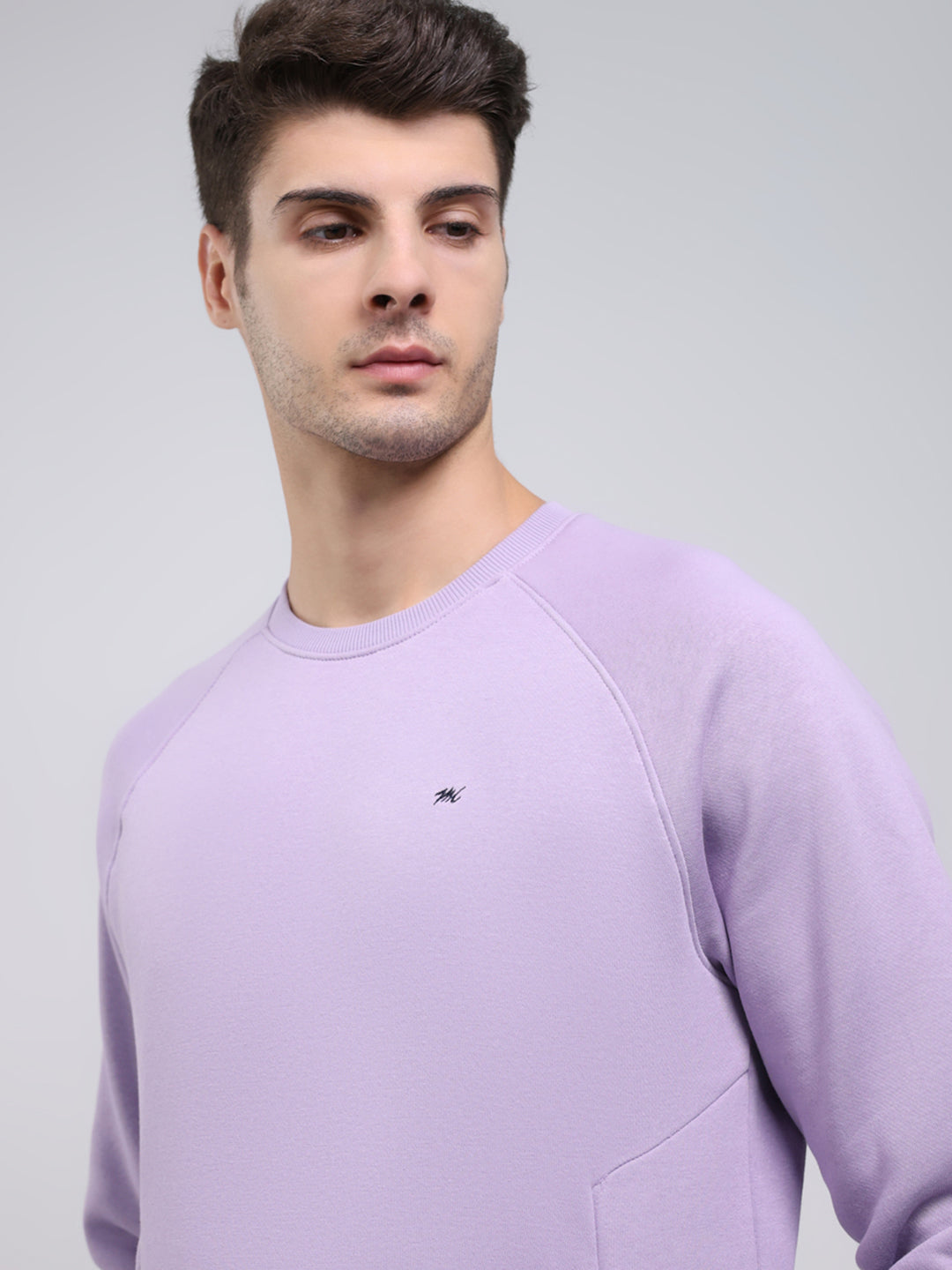 Men Purple Solid Round Neck Full Sleeve Sweatshirt