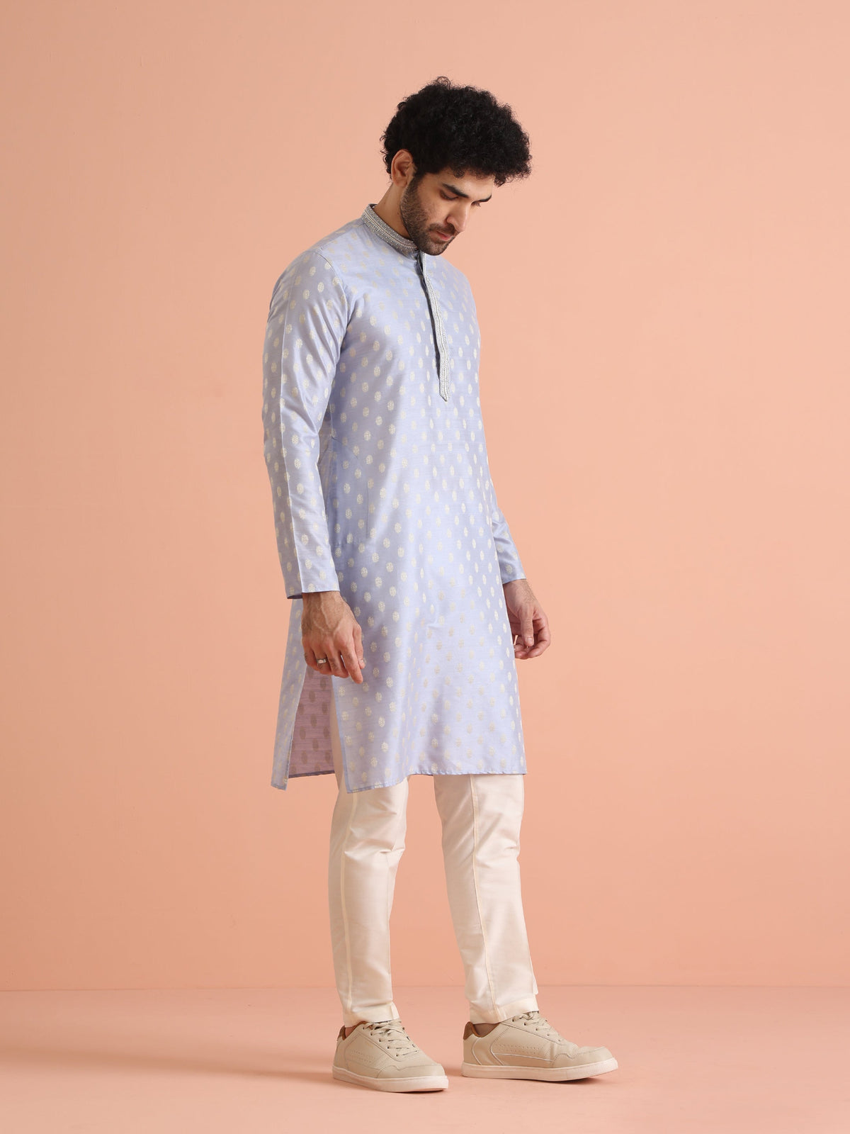 Men Blue Ethnic Motifs Kurta
